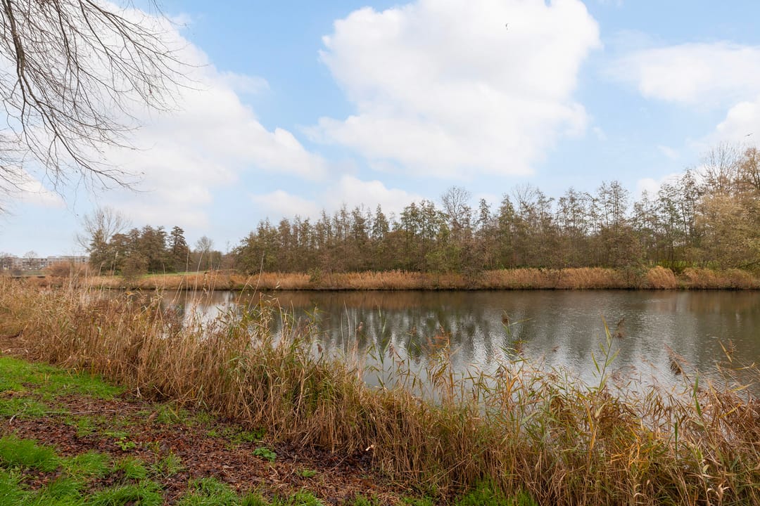 Foto 13 van Juweellaan 570