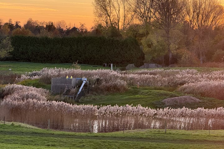 Foto 34 van Galerij 10