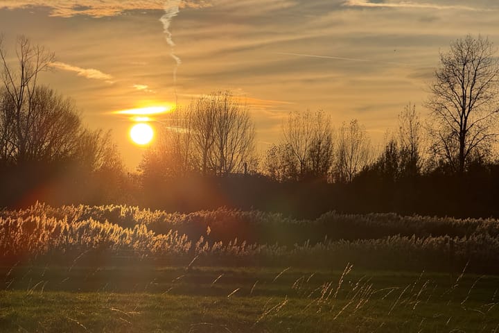 Foto 39 van Galerij 10