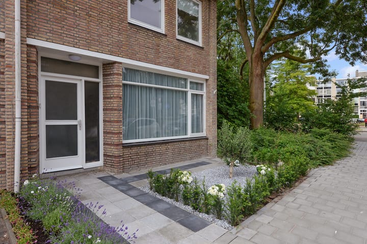 Foto 7 van Robertaland 1