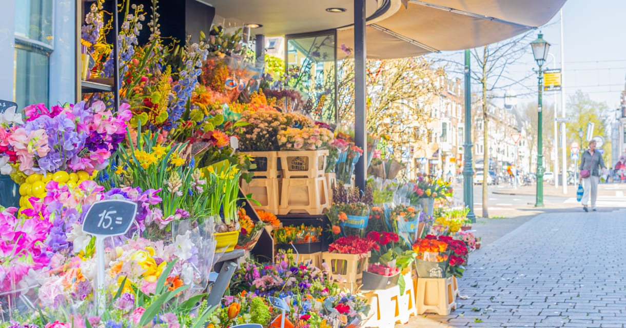 Foto 66 van Westduinweg 181