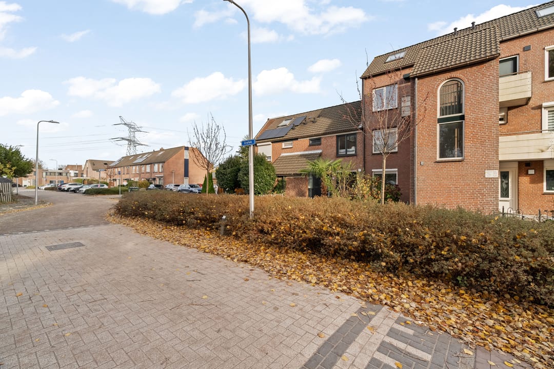 Foto 28 van Grafiek 99