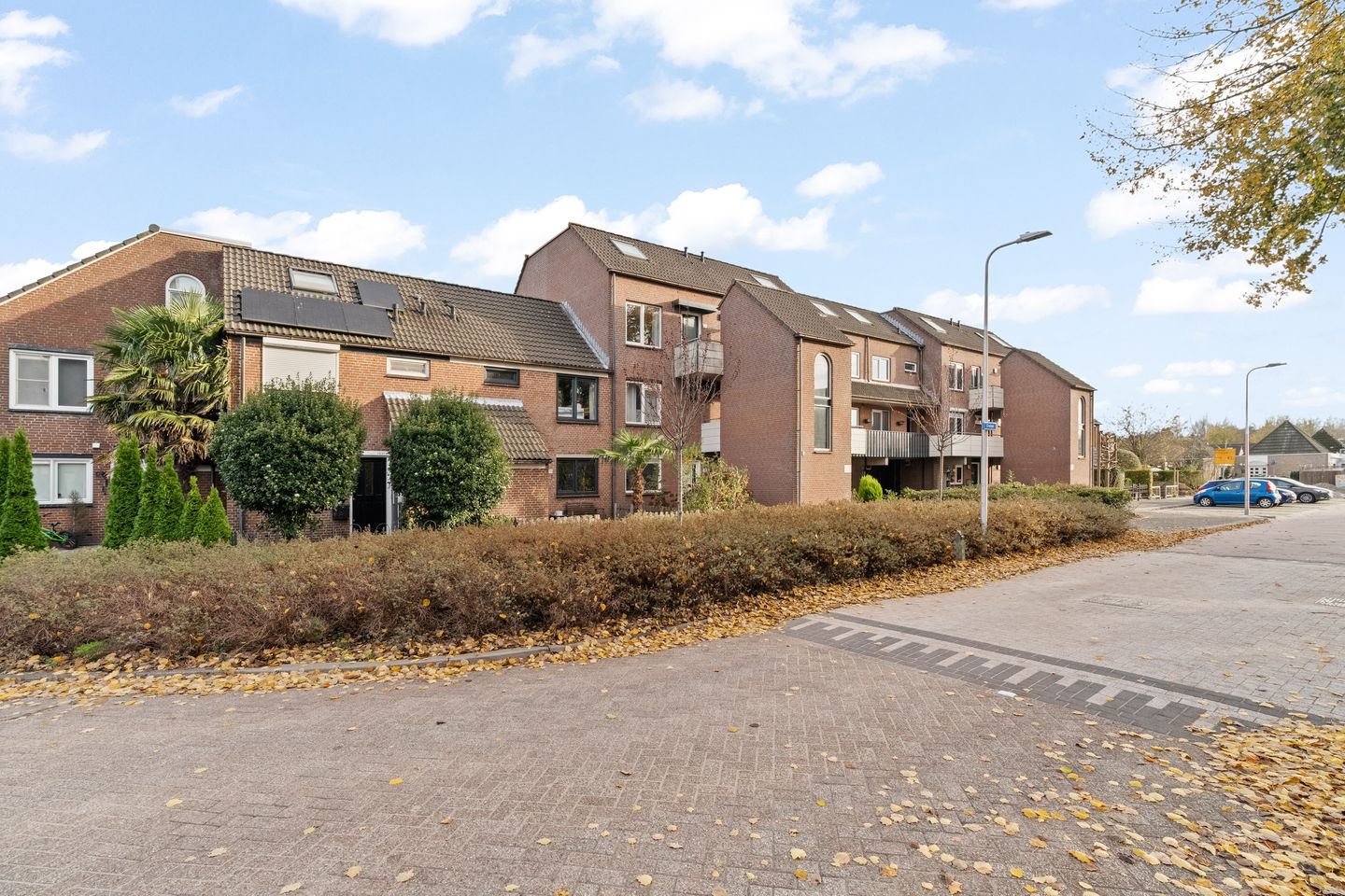 Foto 29 van Grafiek 99