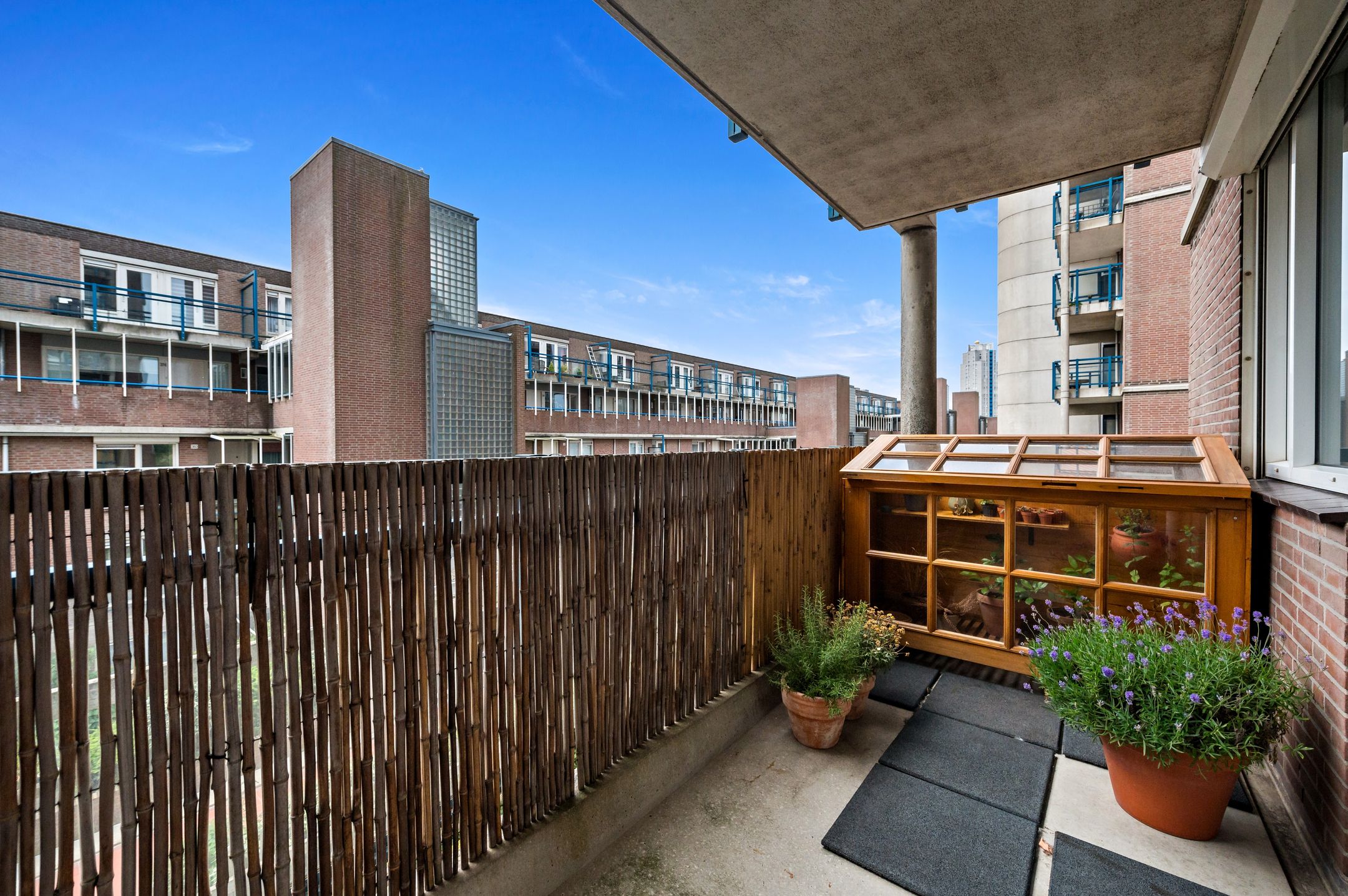 Photo 42 of Groningsestraat 217