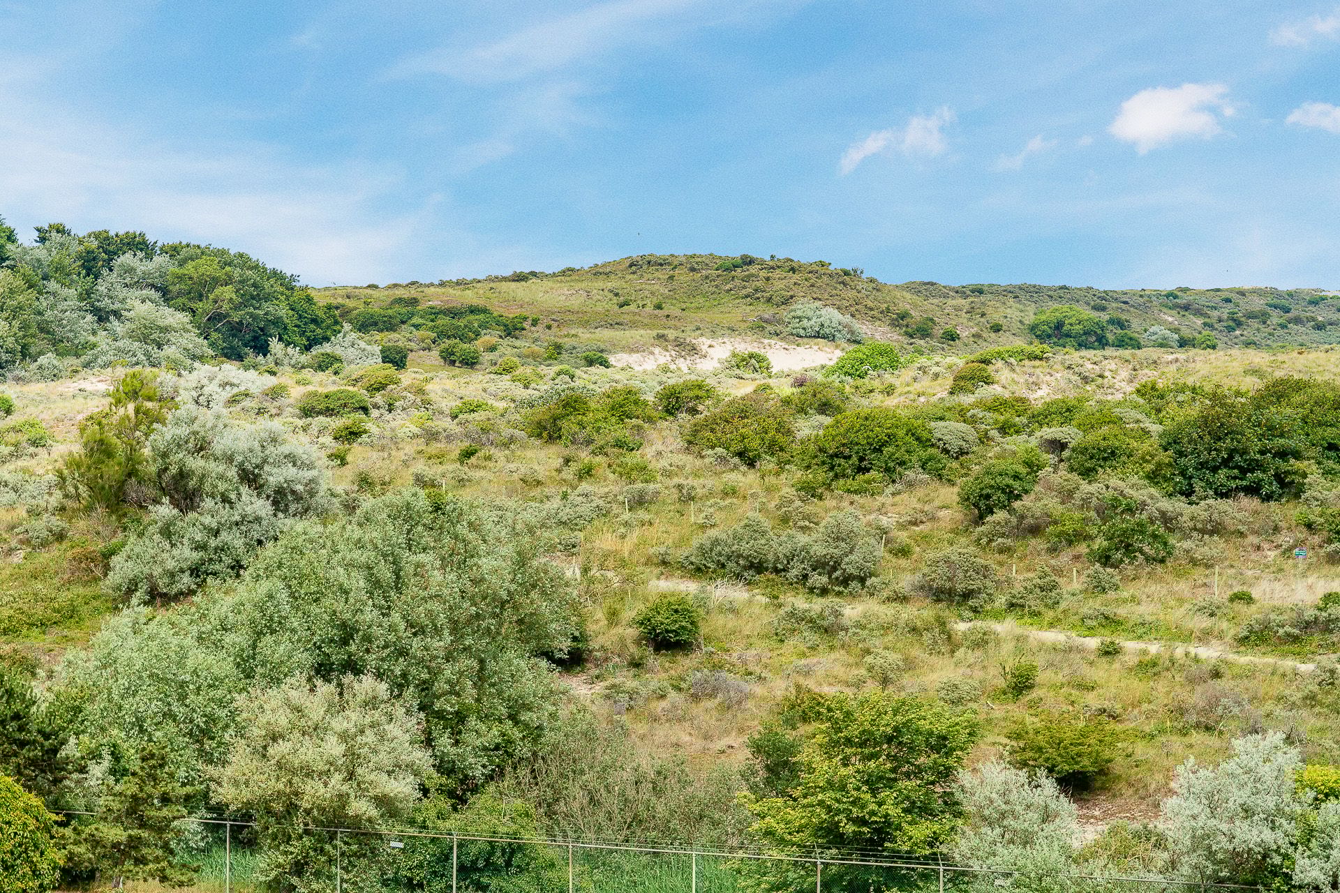 Photo 57 of Groningsestraat 217