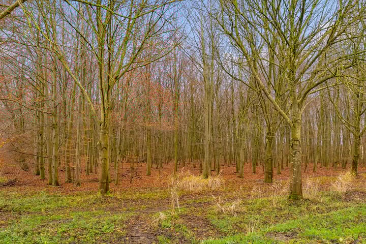 Foto 62 van Reimslaan 167