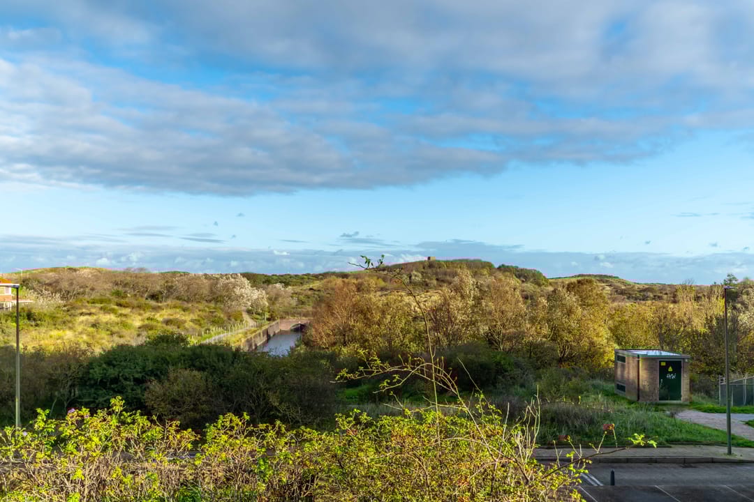 Foto 37 van Zwolsestraat 146