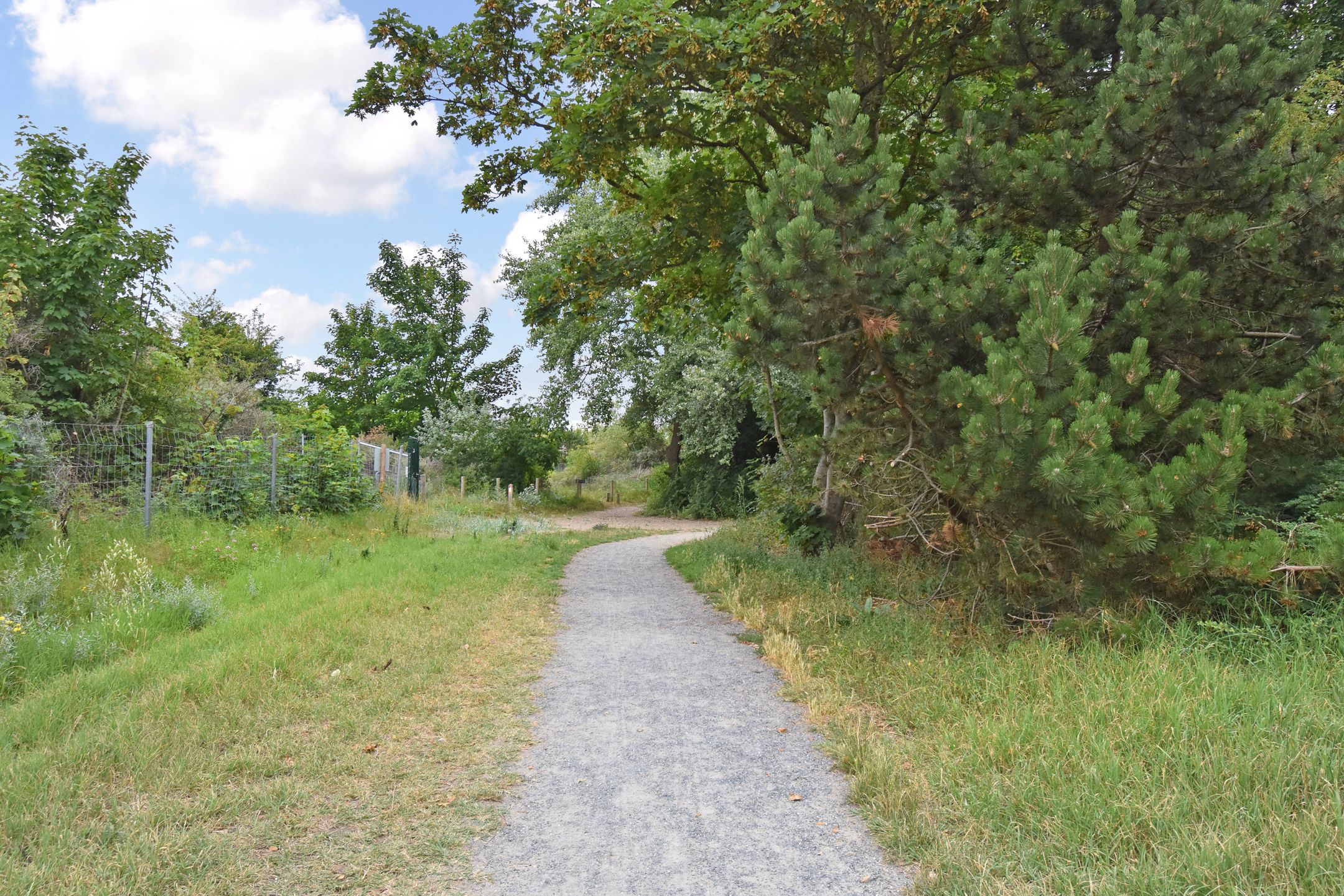 Foto 39 van Zwolsestraat 146