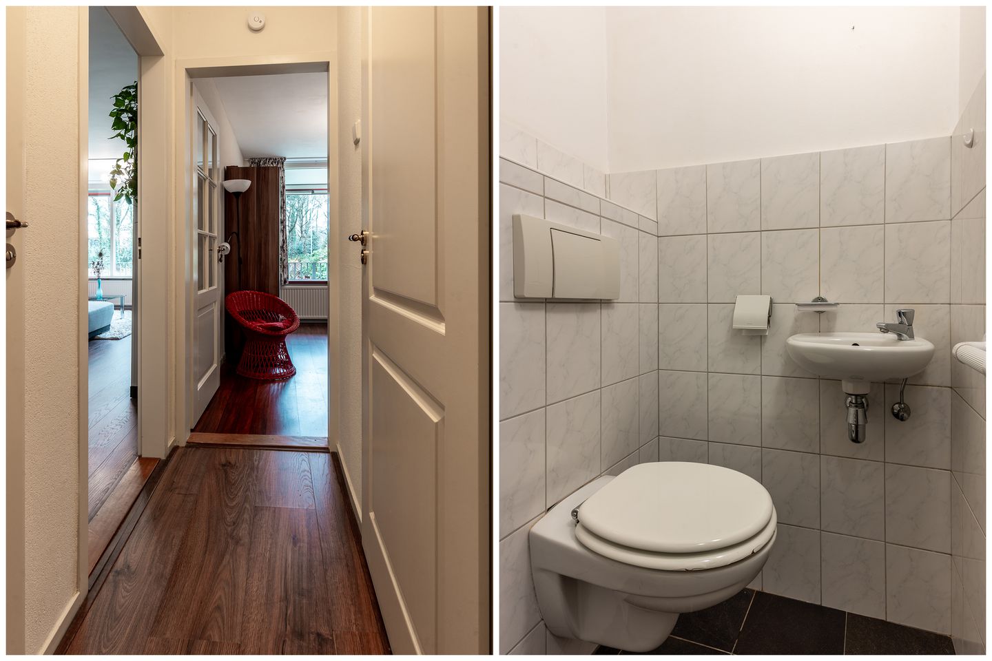 Photo 14 of Veldkamp 14