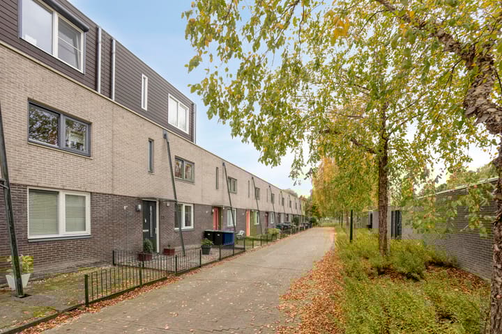 Foto 52 van Spitsbergen 28