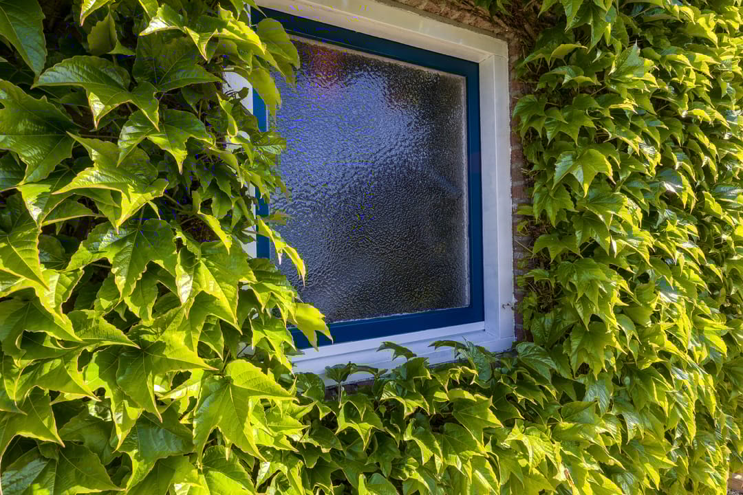 Photo 56 of Vensestraat 31