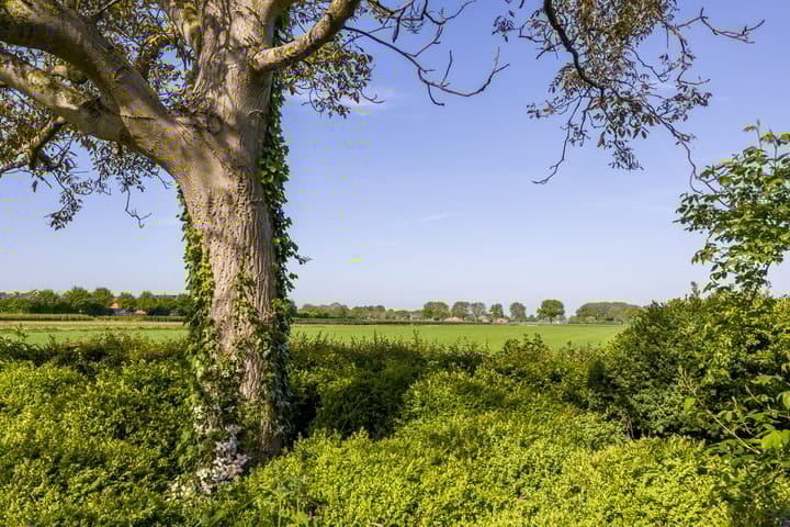 Foto 62 van Vensestraat 31