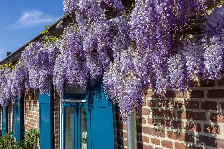 Foto 84 van Vensestraat 31