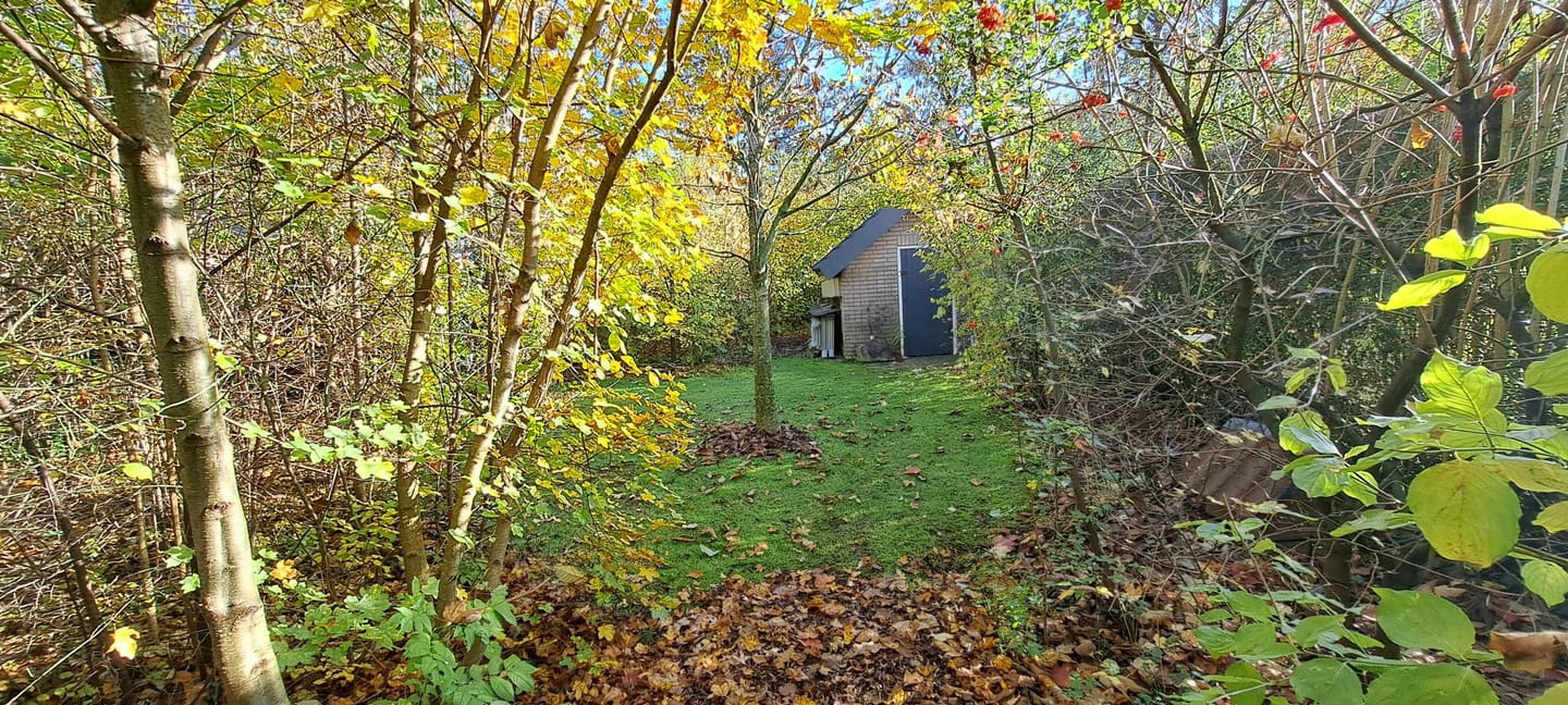 Photo 34 of Burg Thijssenstraat 27