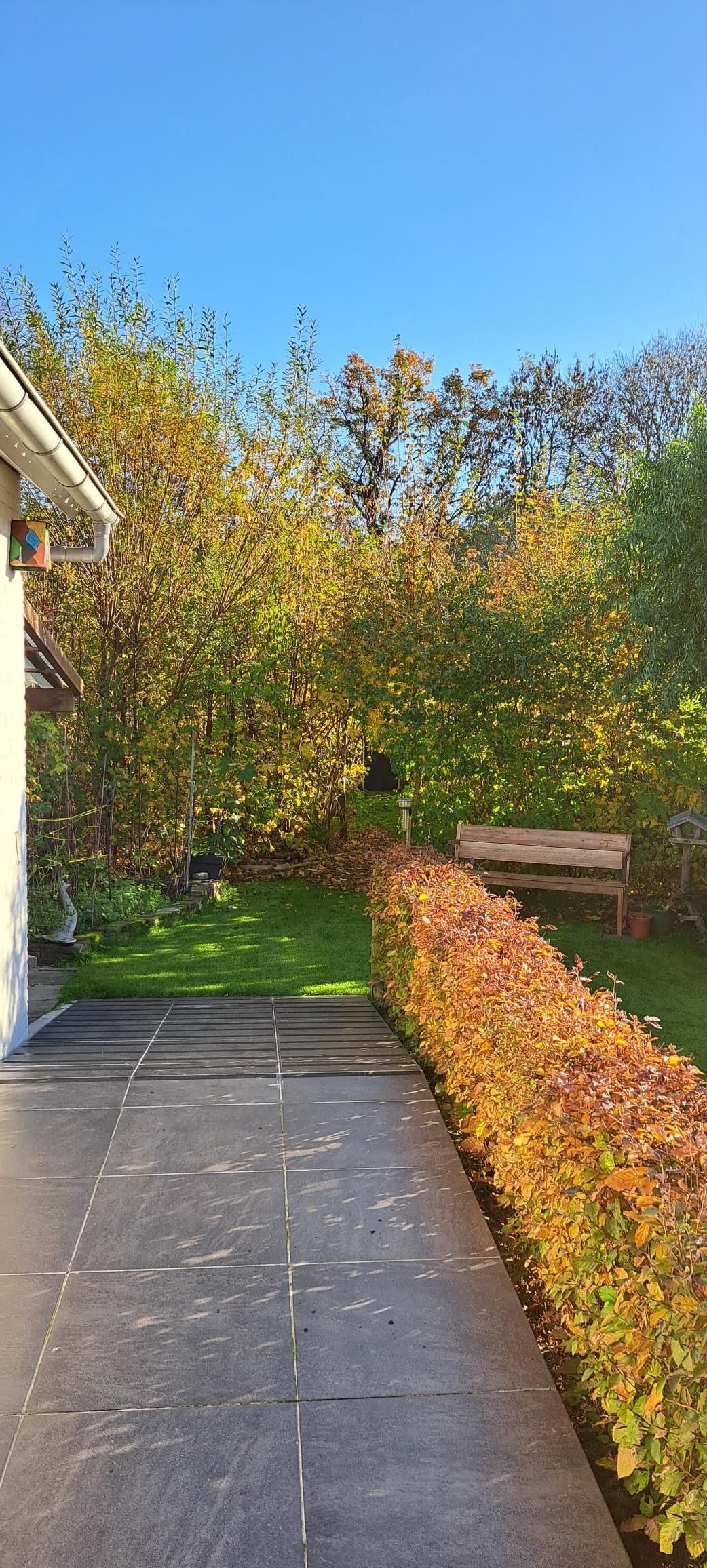 Photo 33 of Burg Thijssenstraat 27