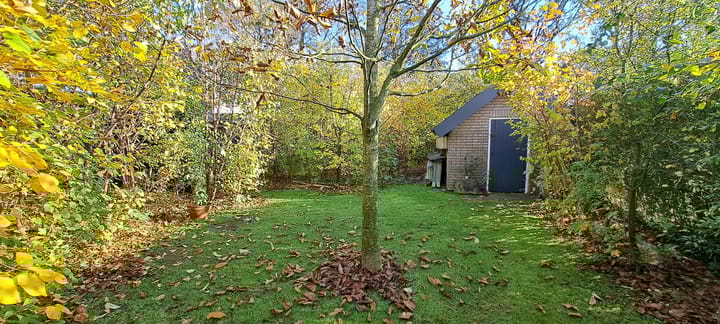 Photo 35 of Burg Thijssenstraat 27