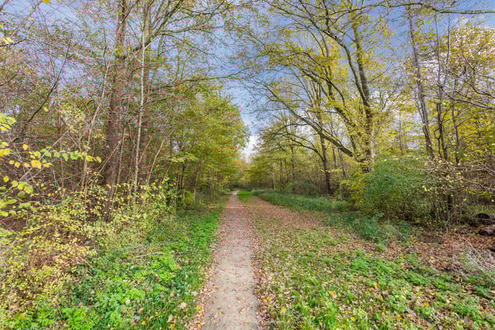 Foto 41 van Vogelwikke 20