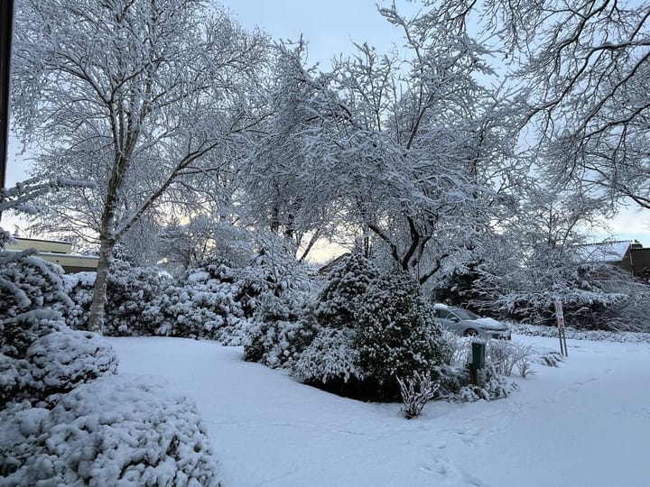 Photo 2 of Sporkehout 38