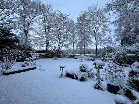 Sporkehout 38 tertiary image