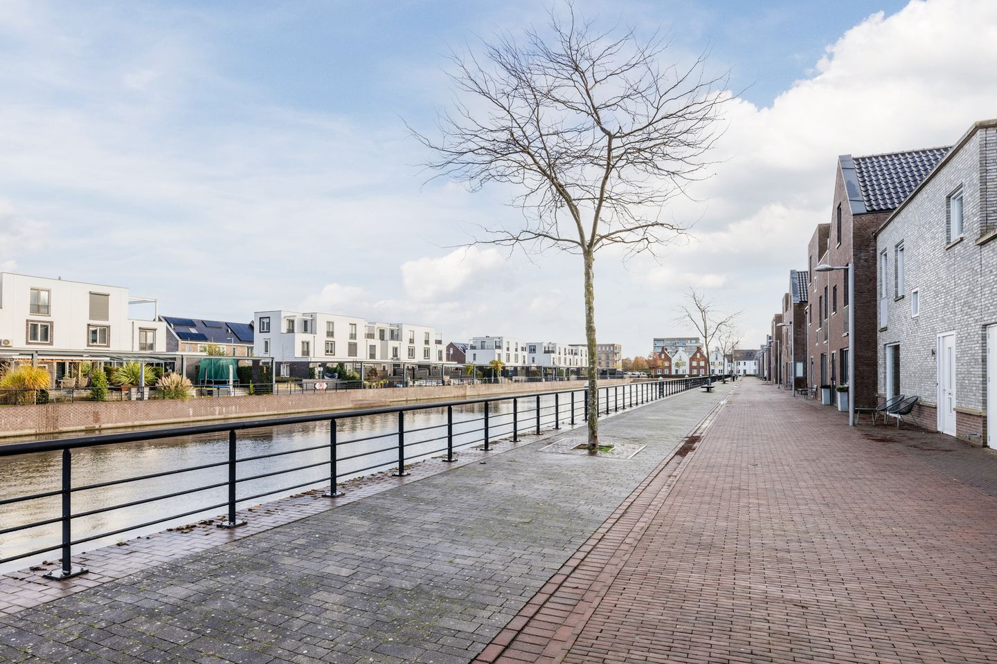 Photo 5 of Zilverschat 49