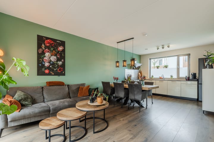 Foto 6 van Zilverschat 49