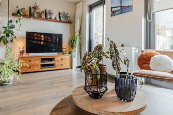 Foto 7 van Zilverschat 49