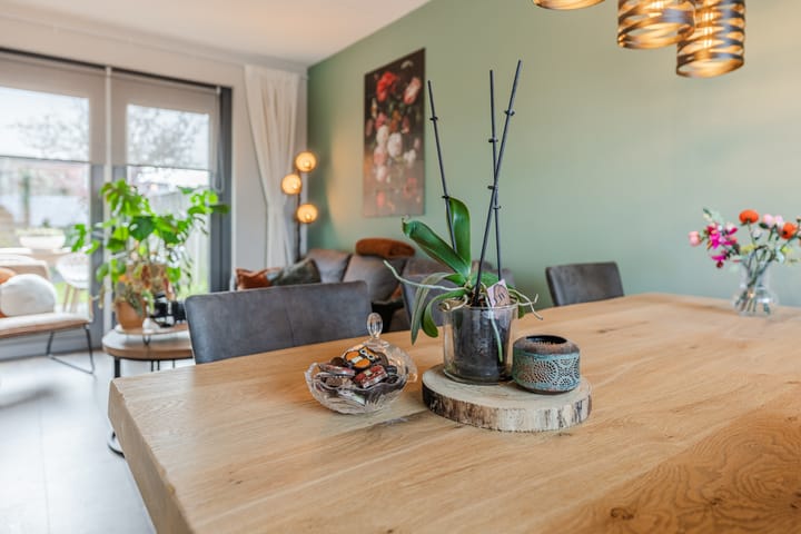 Foto 9 van Zilverschat 49