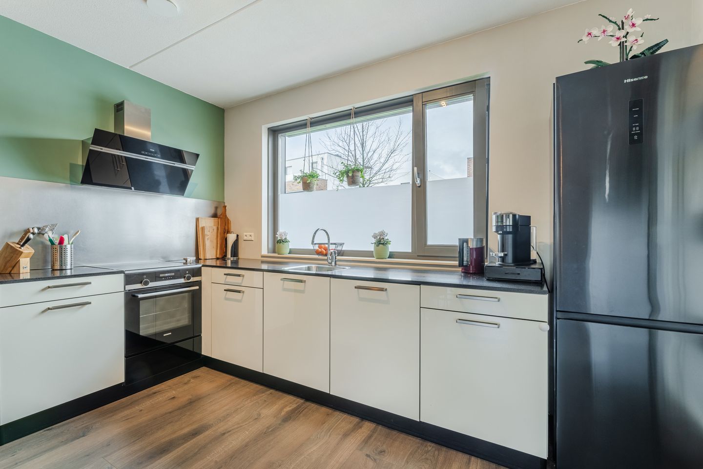 Photo 10 of Zilverschat 49