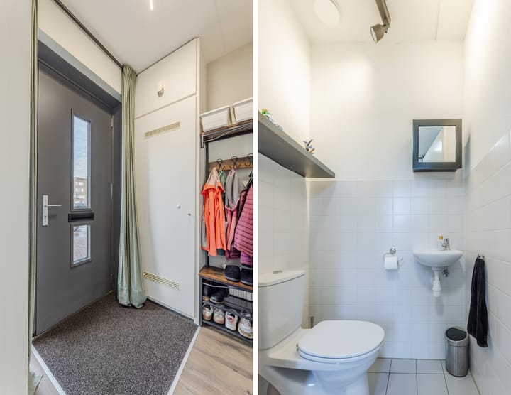 Foto 11 van Zilverschat 49