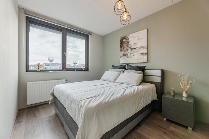 Foto 12 van Zilverschat 49