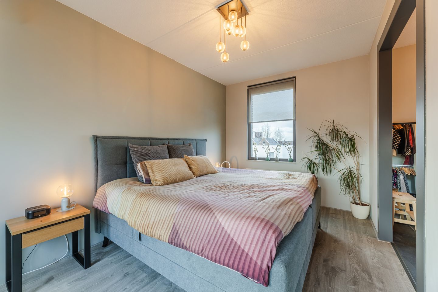 Photo 19 of Zilverschat 49