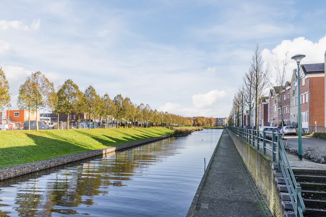 Photo 28 of Zilverschat 49