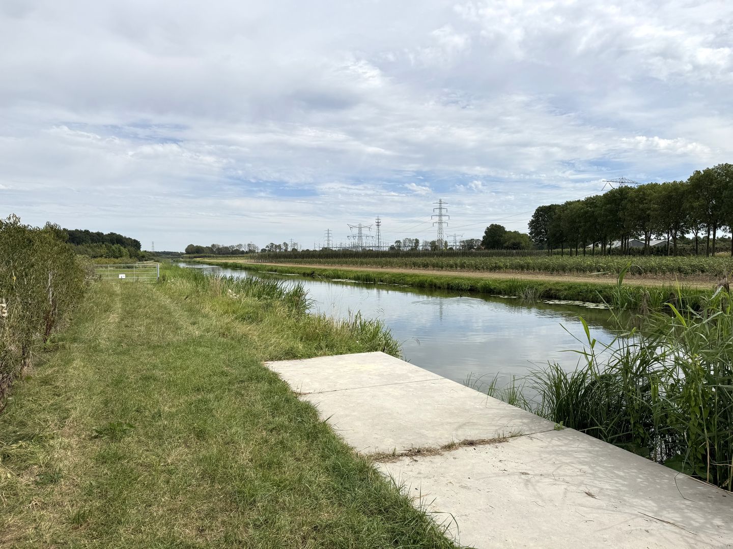 Bekijk foto 5 van Tolsestraat