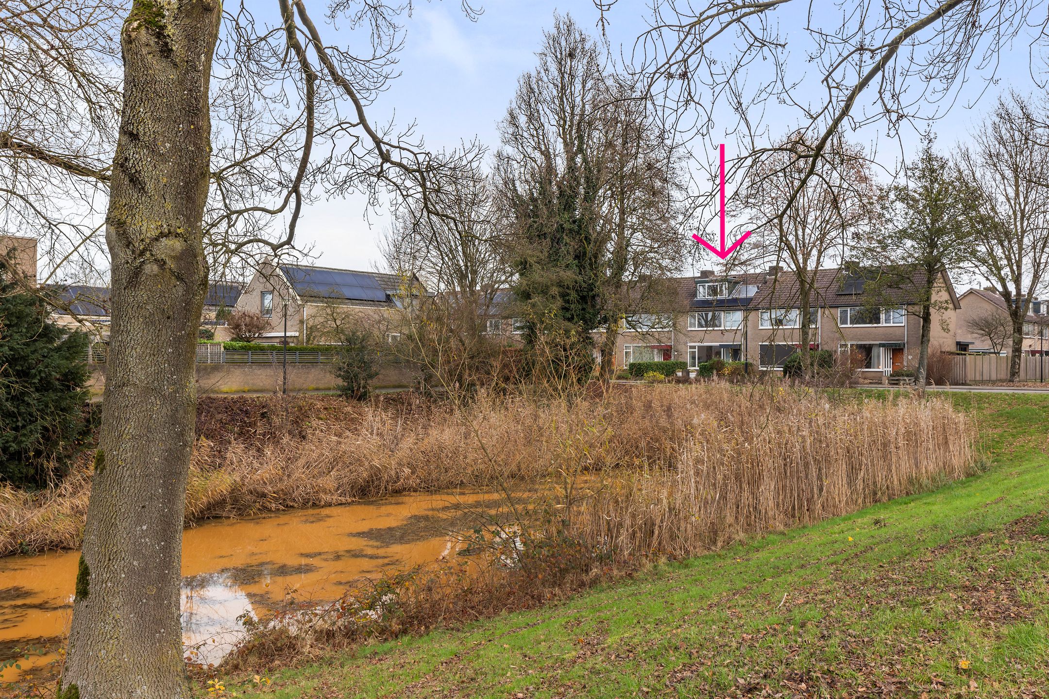 Foto 30 van Kruizemuntstraat 367