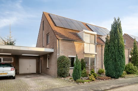 undefined main image