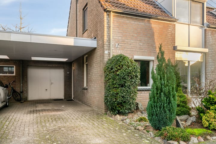 Foto 2 van Helmkruid 15