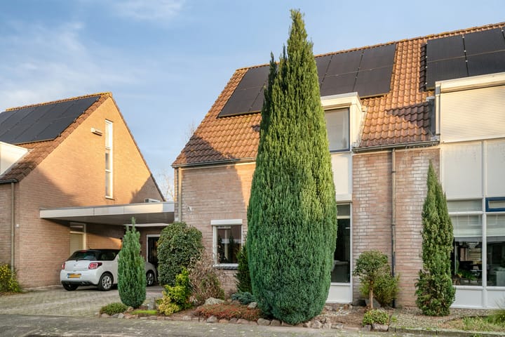 Foto 37 van Helmkruid 15