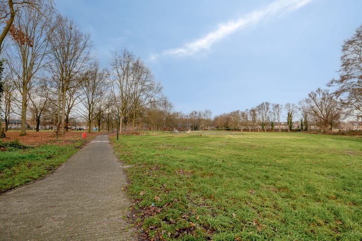 Foto 38 van Helmkruid 15