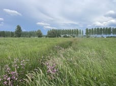 Afbeelding van Middendijk 69 - Derde foto