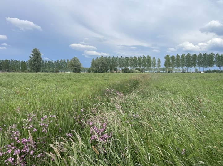 Photo 3 of Middendijk 69