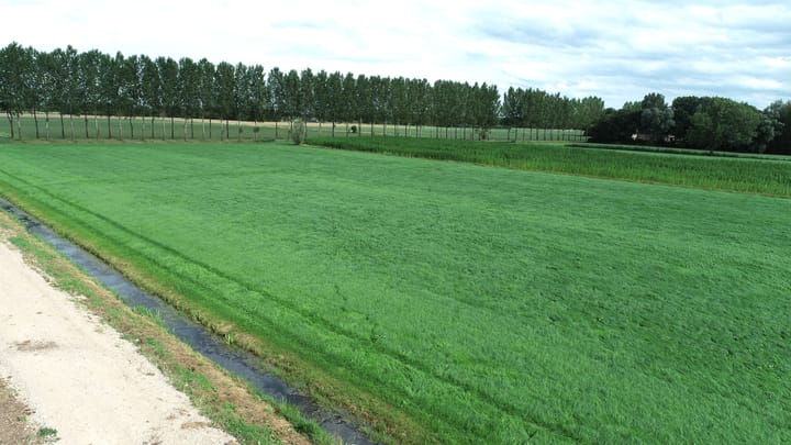 Photo 12 of Middendijk 69