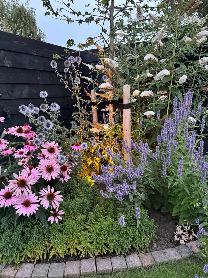 Foto 47 van Hazelderstraat 13