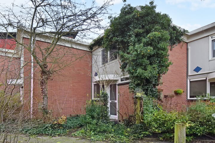 Photo 2 of Tulpenpad 4