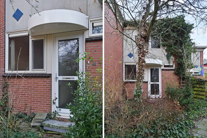 Photo 3 of Tulpenpad 4