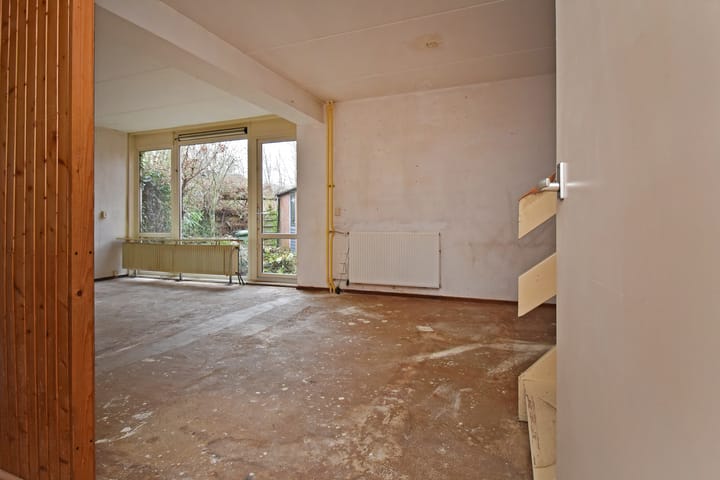 Photo 5 of Tulpenpad 4