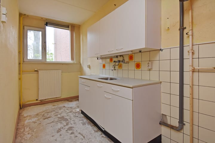 Foto 10 van Tulpenpad 4