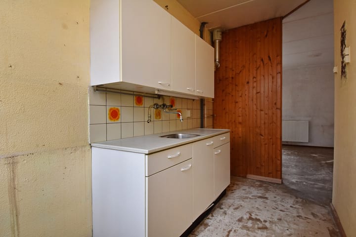 Foto 11 van Tulpenpad 4