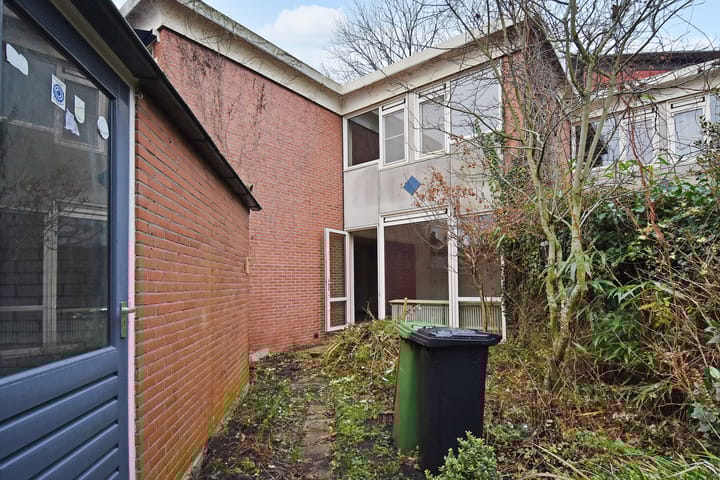 Foto 12 van Tulpenpad 4