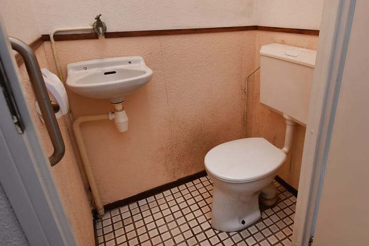 Foto 14 van Tulpenpad 4