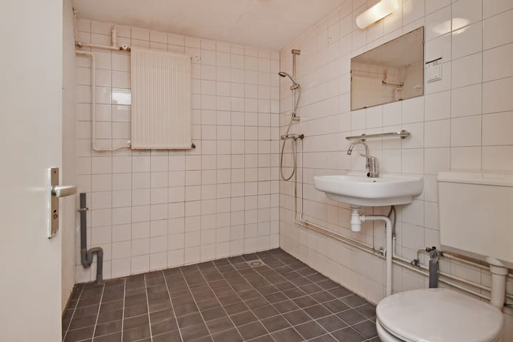 Foto 15 van Tulpenpad 4